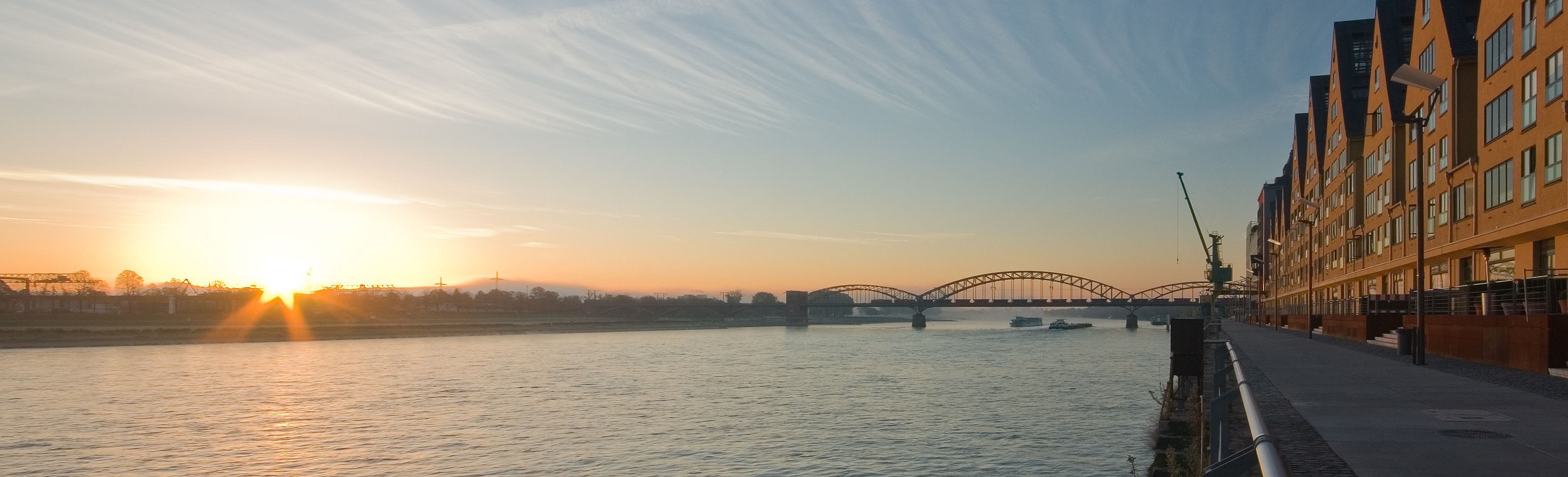 header image 1
