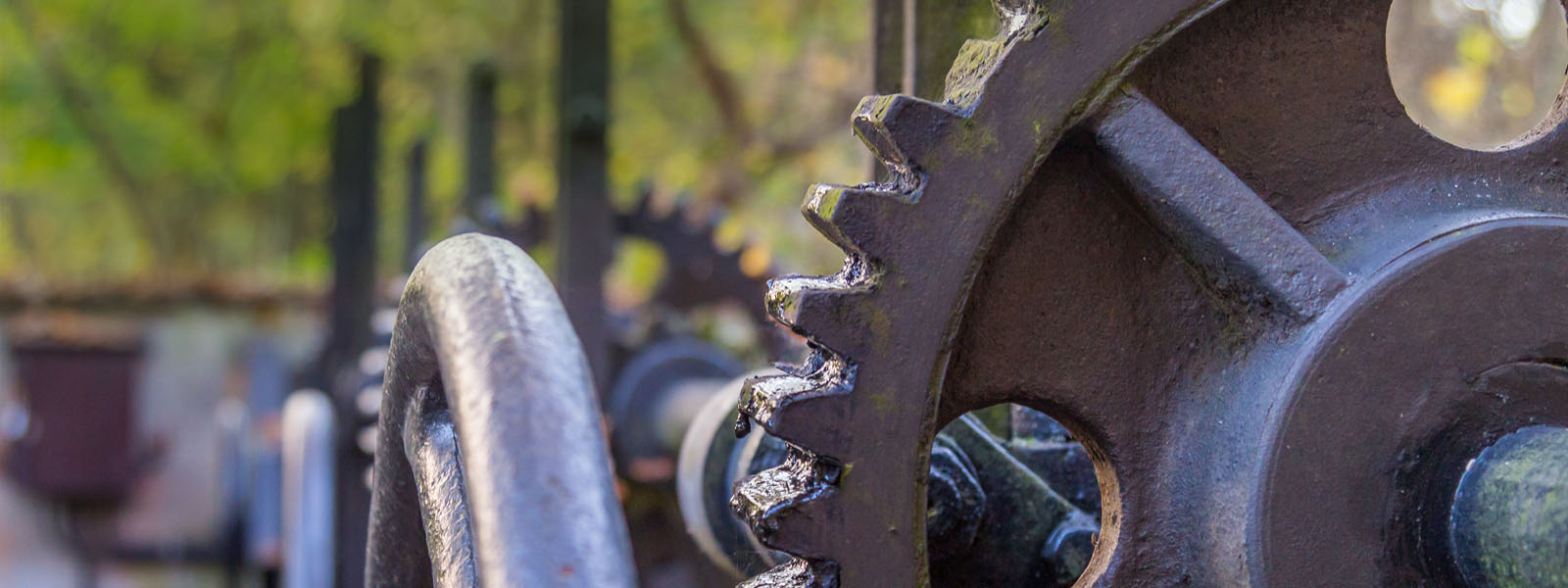 header image 2